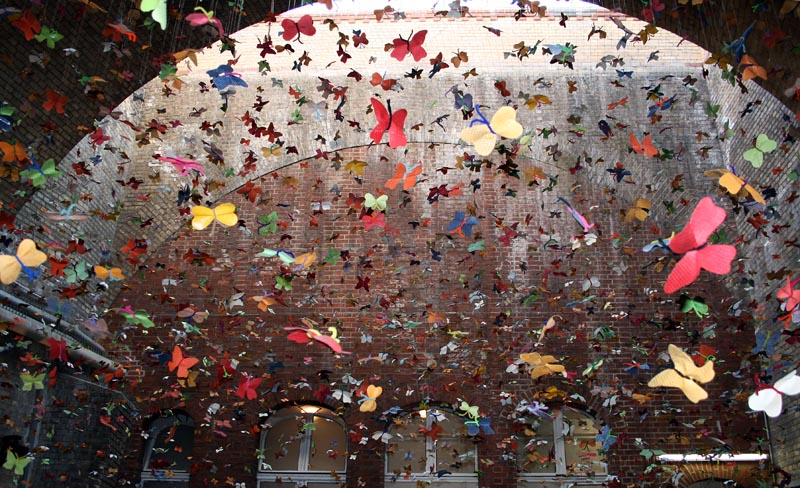 Schmetterlinge Schmetterlinge